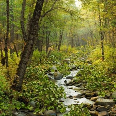 澳门新葡澳京下载手机版