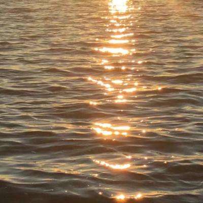 bet体育365官网正规下载手机版